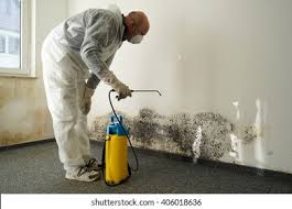 Best Biohazard Mold Removal  in Bellevue, WI